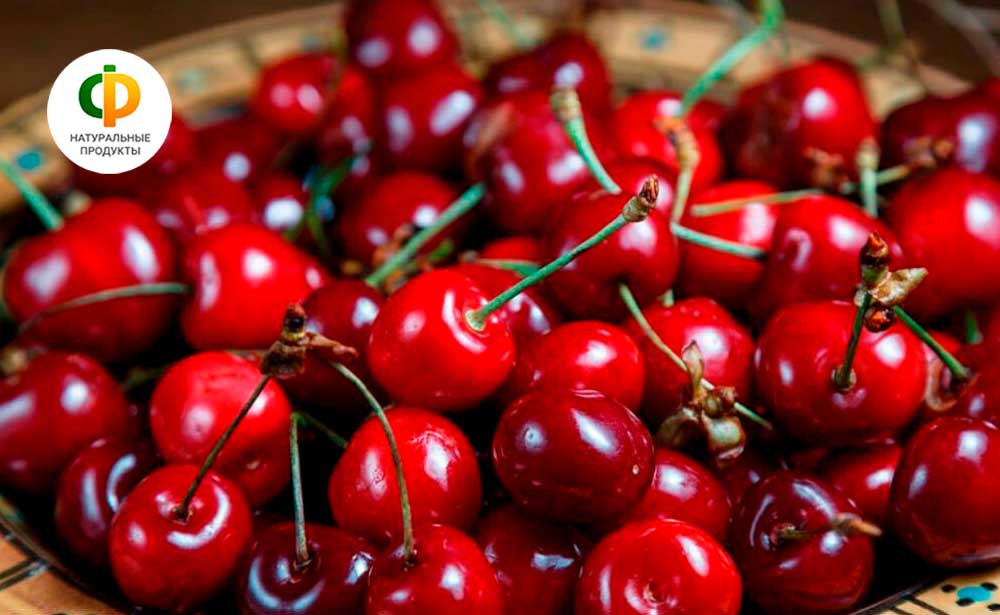 Вишня: выбор и польза «молодильных» ягод